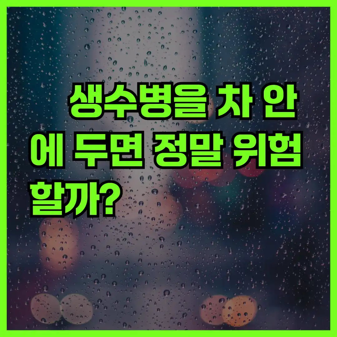 생수병을 차 안에 두면 정말 위험할까?