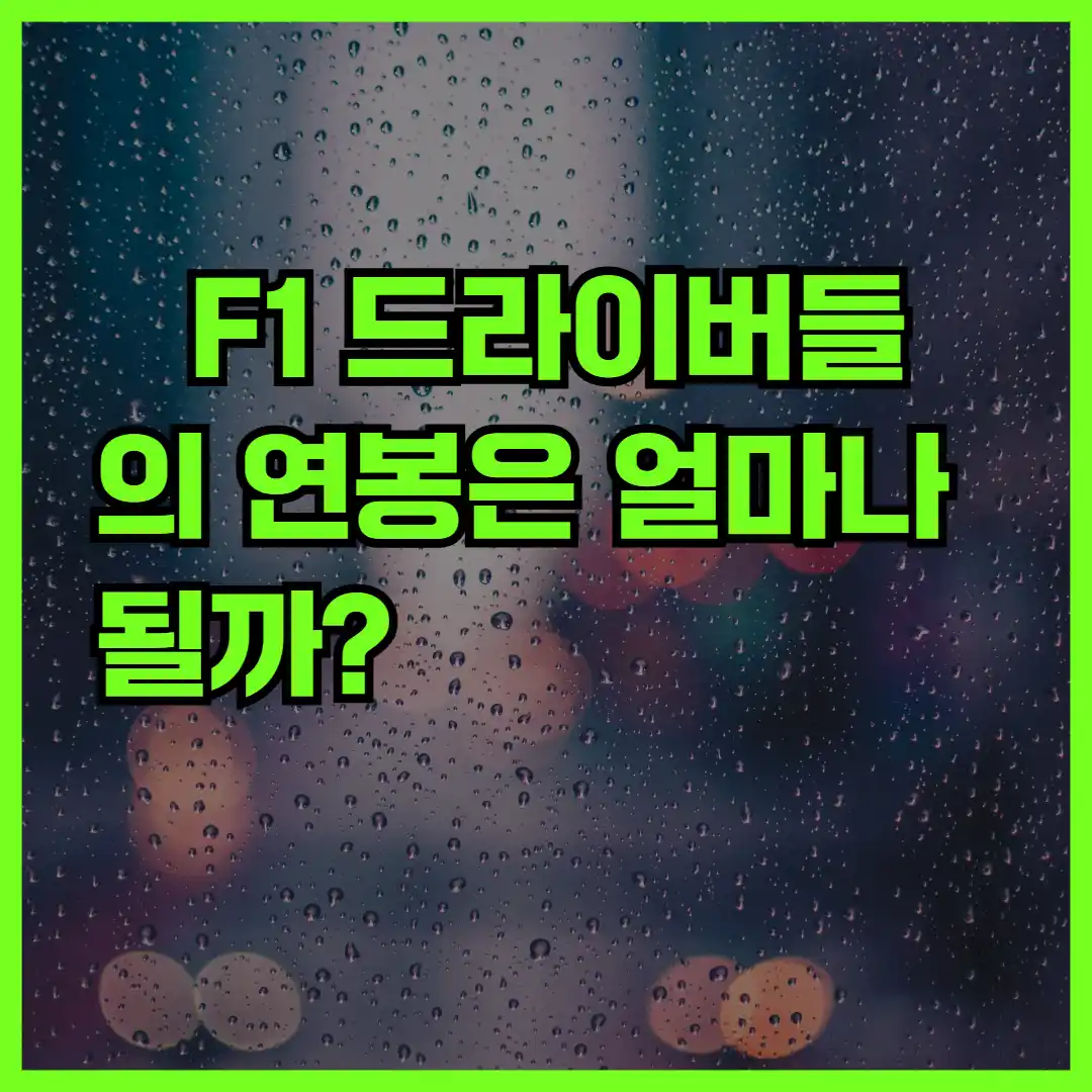F1 드라이버들의 연봉은 얼마나 될까?