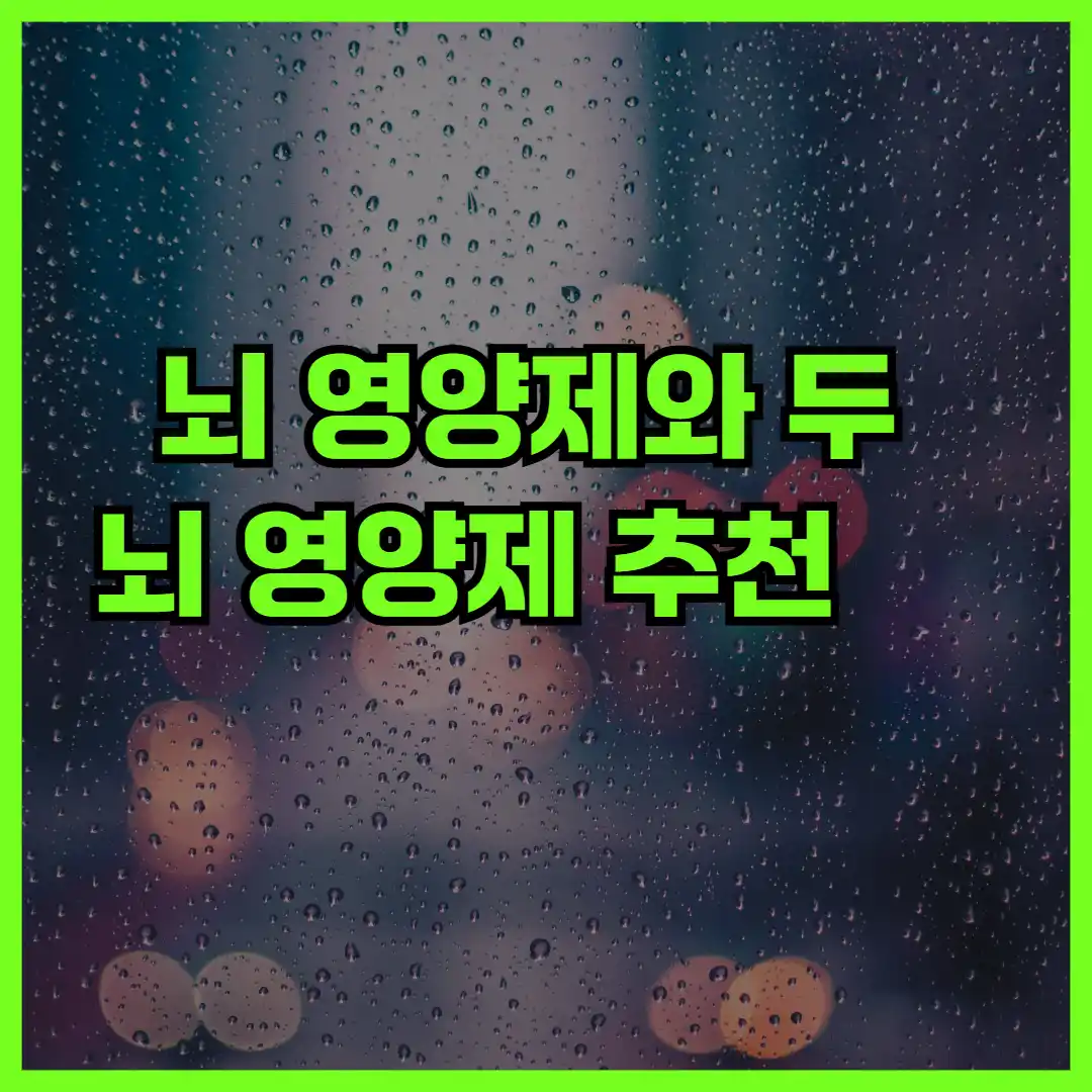 뇌 영양제와 두뇌 영양제 추천, 두뇌엔 닥터 PS 맥스