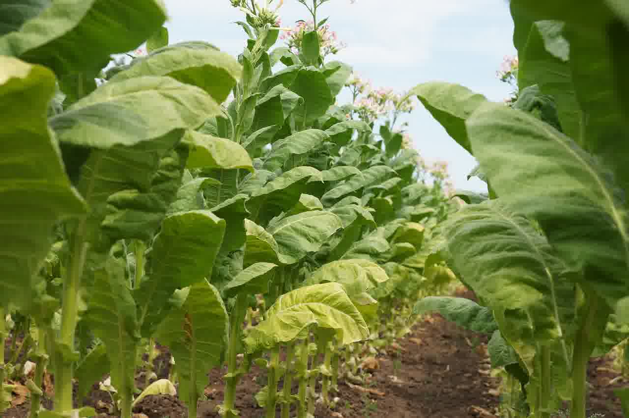 전기차 보조금 없이도 만족스러운 선택, 어떤 모델이 있을까?