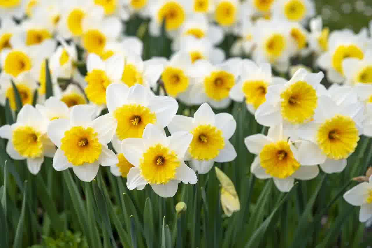 연비와 공간을 모두 잡은 하이브리드 SUV Best 5 알아보기