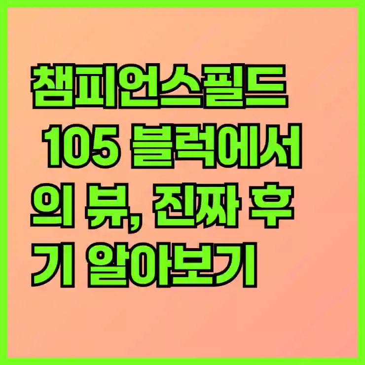 챔피언스필드 105블럭에서의 뷰, 진짜 후기 알아보기