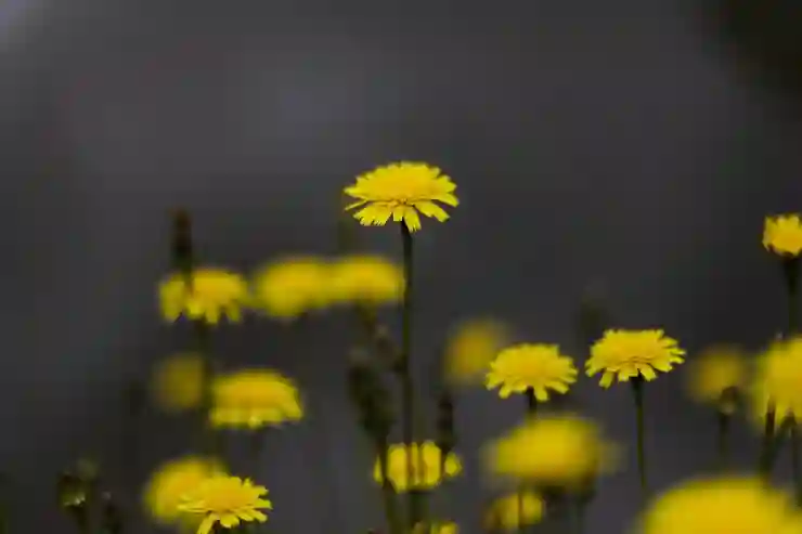 갤럭시 측면 버튼 한 번으로 빠르게 화면 잠금하는 꿀팁