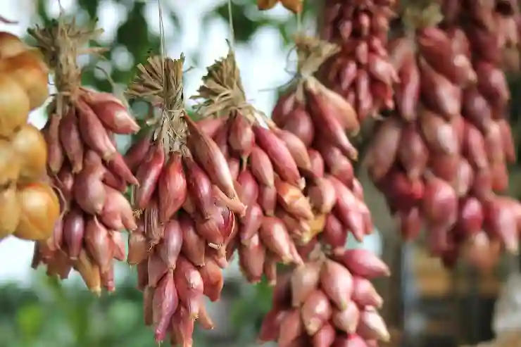쉽고 빠른! 구글에서 사이트 바로가기 만드는 꿀팁 알아보기