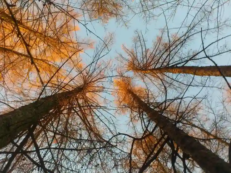 유튜브 시청중 이전 다음 동영상 보기