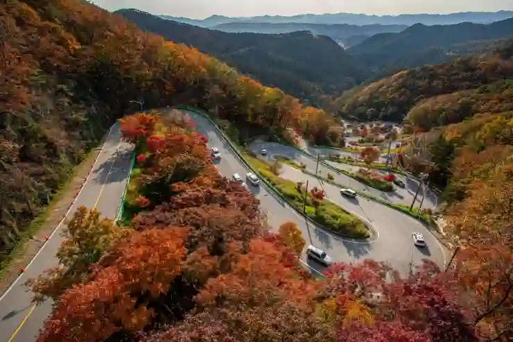 전동킥보드 도로교통법 면허