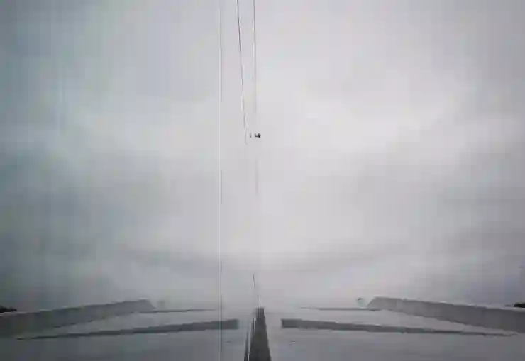 네이버 앱으로 CCTV 쉽게 확인하는 법 알아보기