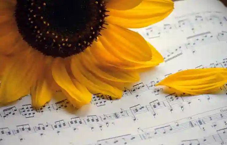 서울월드컵경기장에서 펼쳐진 감동의 라이브 순간들 살펴보기