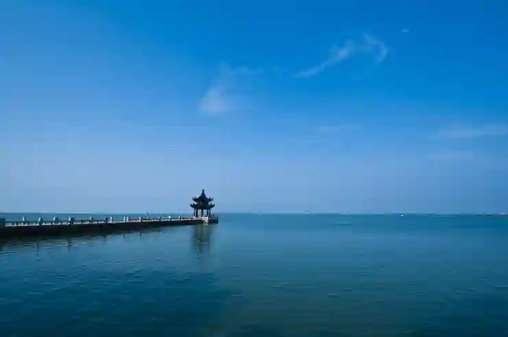 유튜브 알림 괄호 숫자 의미
