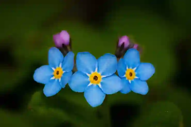 카카오톡 사진 묶어보내기 일일이 하나씩 보내지 마세요