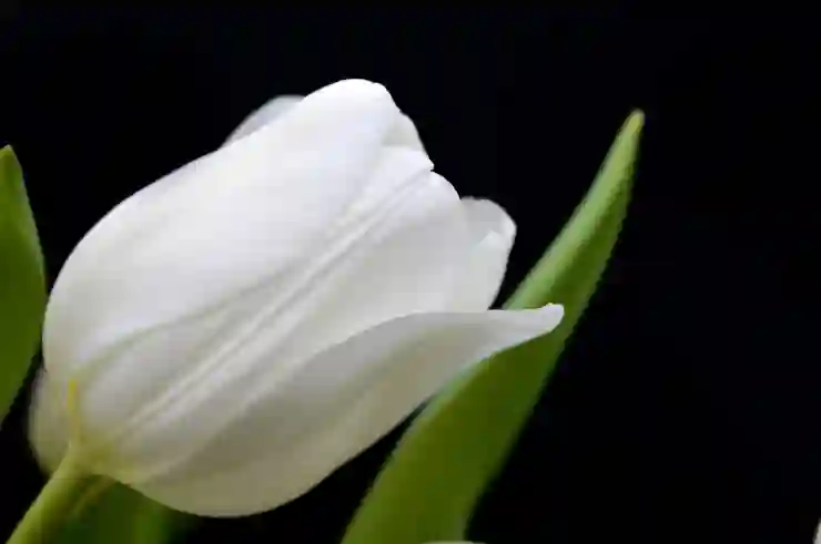 구글지도 검색기록 간편하게 삭제하는 방법 알아보기