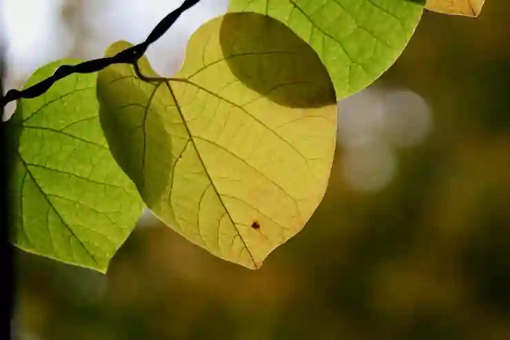 서울월드컵경기장에서 최고의 뷰를 즐기는 비법 공개!