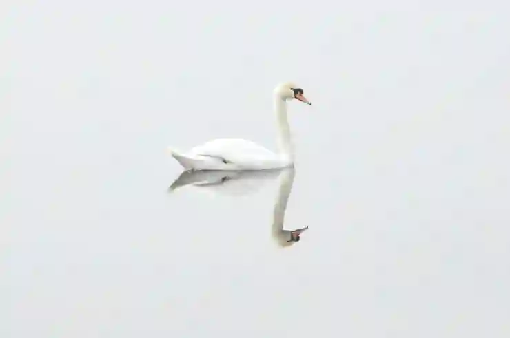 카톡 롱탭으로 이미지 검색하는 꿀팁 대공개!