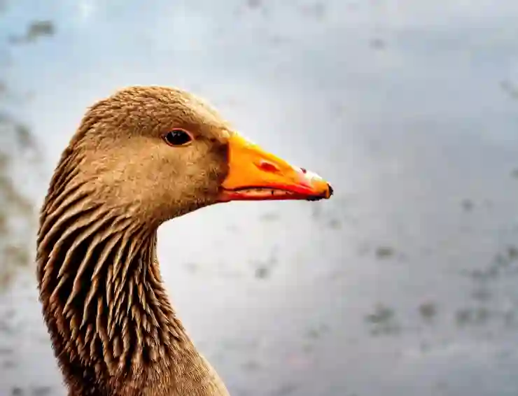 카톡 프로필 업데이트 숨기기 비법 알아보기