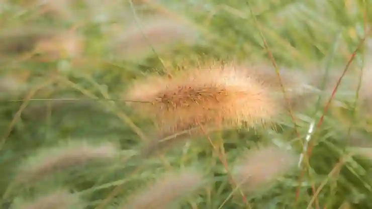 한글 바탕색과 배경색 쉽게 적용하는 꿀팁 대공개