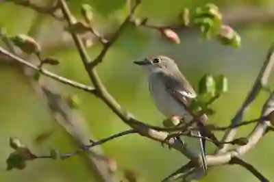 유튜브 보관함에서 이어보기