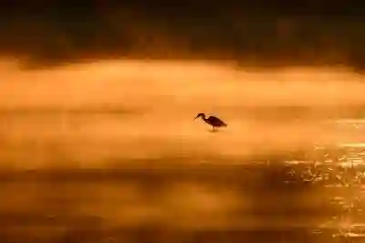 트위터 로그아웃 하는법 (계정)