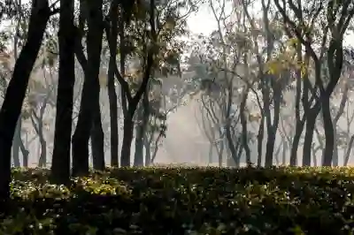 한글파일 합치기 병합하는 법