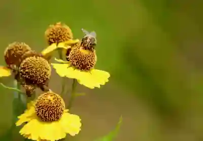 58g 경량화의 완성체, 레이저 코브라(Razer Cobra) 유선 게이밍 마우스 실제 써보니?