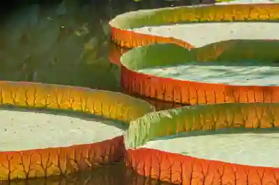 가방 속 아이패드 액세서리, 아이패드 키보드 로지텍 Flip Folio 하나면 해결!