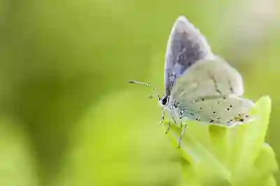 갤럭시 사진 크기 줄이기 간단해요