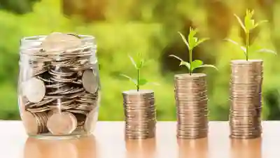 네이버페이 현금영수증 등록, 발급 조회 내역 정리