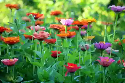 U+ 커넥트로 차량관리를 스마트하게 하는 방법 알아보자