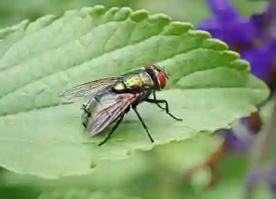 아이폰 iOS 18.3.2 업데이트에서 수정된 버그 살펴보자