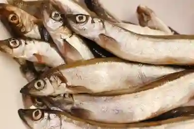 아트리스트 가격과 구독 해지 및 환불 방법 알아보자