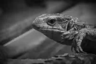 윈도우10 모니터 화면보호기 설정과 해제