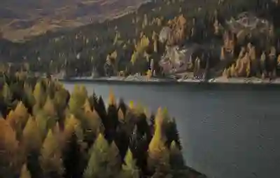 유튜브 좋아요 삭제 한방에 끝