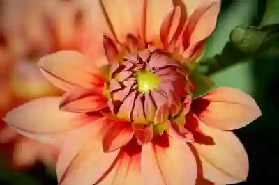 유플러스 갤럭시 S25로 스마트하게 폰 교체하는 방법 살펴보자