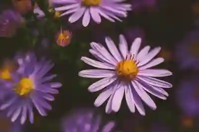 인스타 피드 스토리 숨기기, 이제 그만 봐