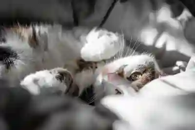 주방 품격을 높이는 인덕션, 가스레인지, 전기오븐 추천