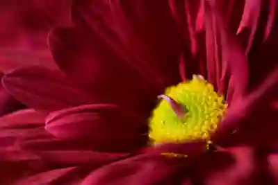 카카오톡 사진 화질 저하 없이 그대로 전송하기