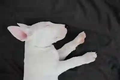 카톡 업데이트한 친구 알림 안뜨게 하기