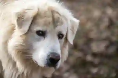 카톡 친구추천 안뜨게 삭제 너무 쉬움