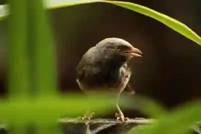 보이는 V 컬러링 부가서비스 활용법 알아보자