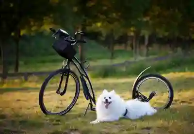 기업 홈페이지 제작의 핵심 요소 4가지 알아보자