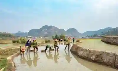 아이폰 에어드롭과 네임드롭 문제 해결을 위한 필수 설정 알아보자