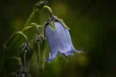 이브이시스 충전 서비스로 전기차 혜택 누리는 방법 알아보자