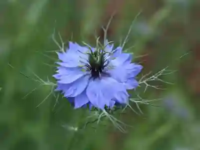 부산 일요일 진료 병원 찾는 꿀팁