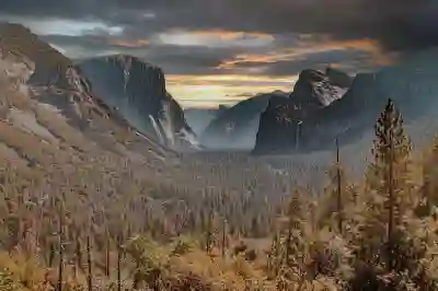 임플란트 크라운 비용과 뼈이식 보험 알아보자