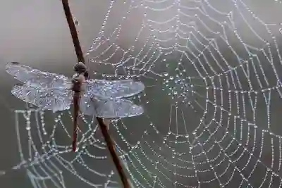 파주 고용센터 실업급여와 국민취업지원제도 알아보자