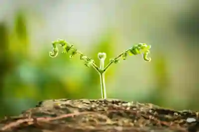 청년 인턴십의 장단점 살펴보기