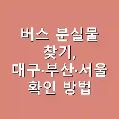 버스 분실물 찾기, 대구·부산·서울 확인 방법